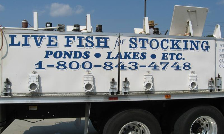 Fish Truck