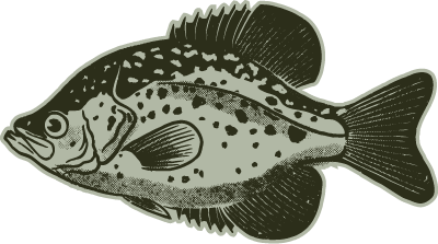 Black Crappie